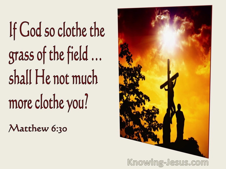 Matthew 6:30 If God So Clothe The Grass Of The Field... (utmost)01:26